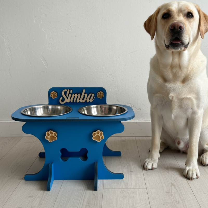 Alzaciotole ergonomico: migliora postura e digestione