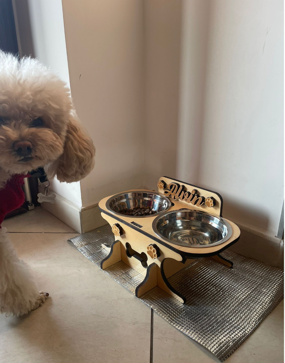 <p>Scelto ogni giorno da chi ama davvero il proprio cane</p>