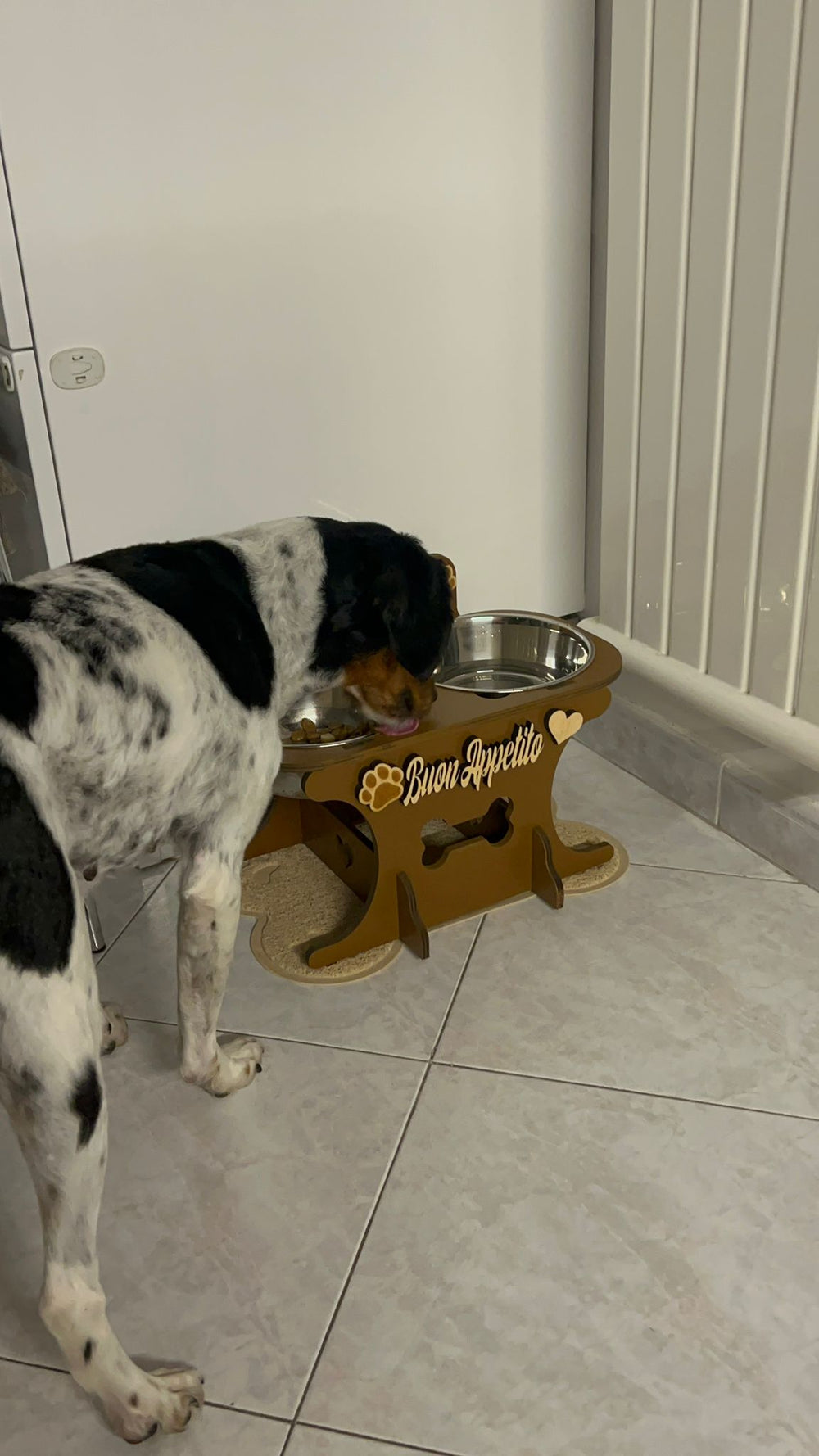 <p>Scelto ogni giorno da chi ama davvero il proprio cane</p>