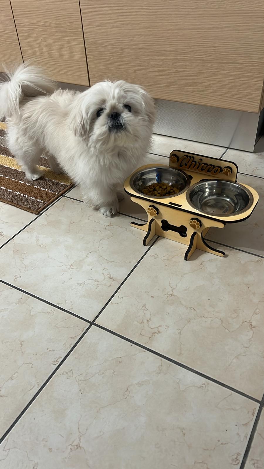 <p>Scelto ogni giorno da chi ama davvero il proprio cane</p>