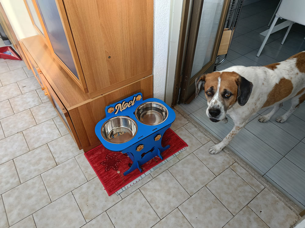 <p>Scelto ogni giorno da chi ama davvero il proprio cane</p>