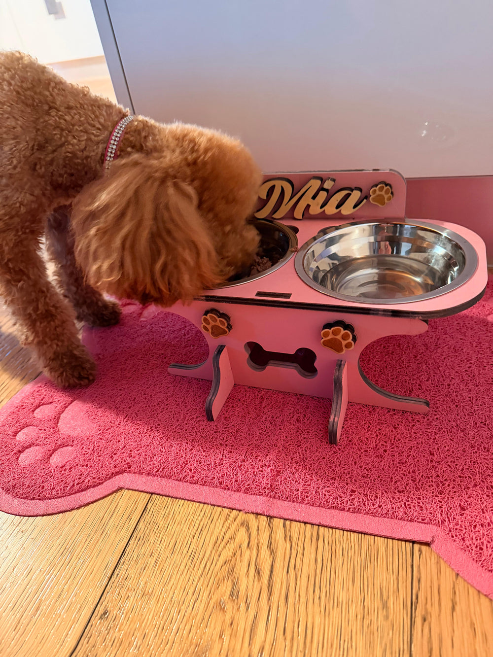 <p>Scelto ogni giorno da chi ama davvero il proprio cane</p>