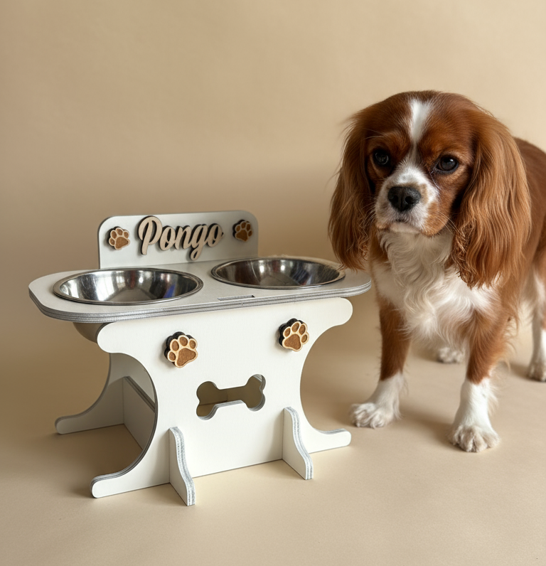 Migliora la postura e la digestione del tuo pet con il nostro porta ciotole personalizzabile