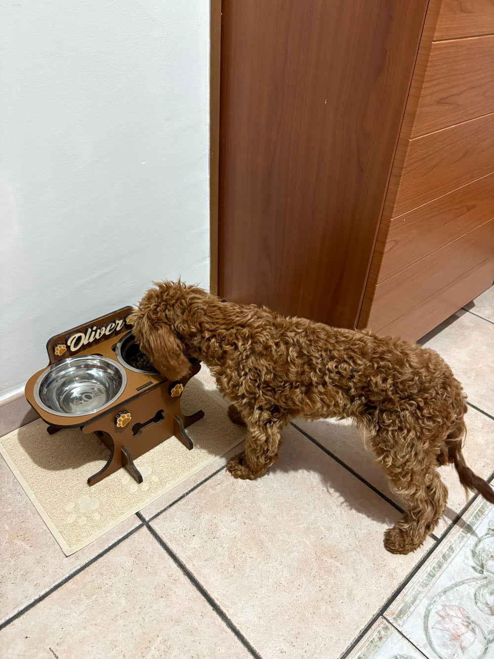 <p>Scelto ogni giorno da chi ama davvero il proprio cane</p>