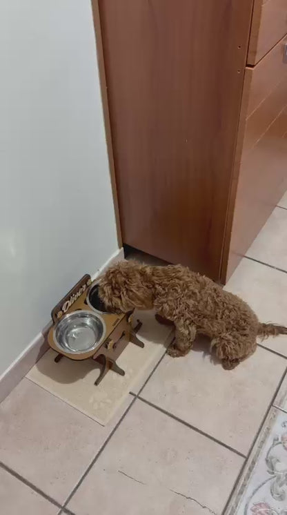 Alzaciotole ergonomico Postura Fit: migliora postura e digestione