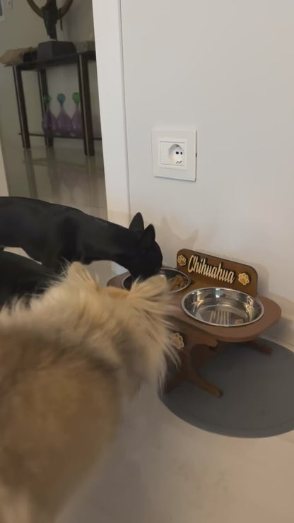 Alzaciotole ergonomico Postura Fit: migliora postura e digestione