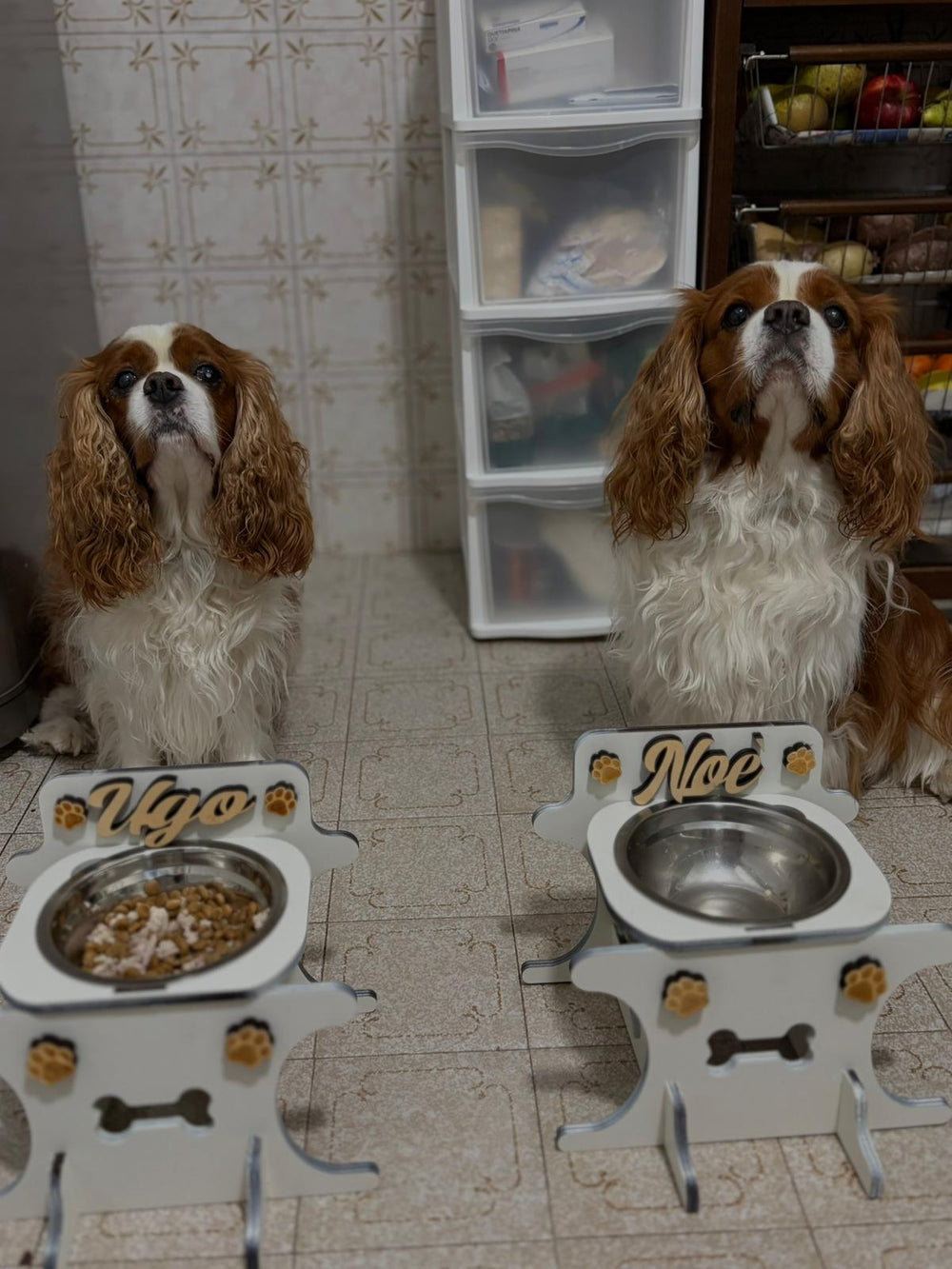 <p>Scelto ogni giorno da chi ama davvero il proprio cane</p>